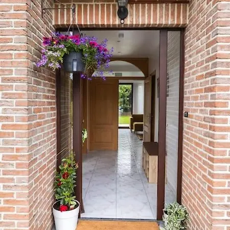 Orchidee * Zaventem